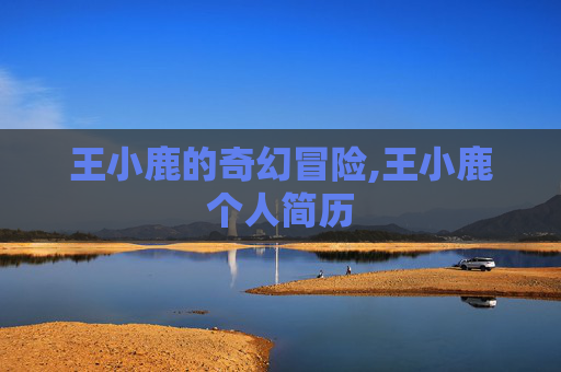 王小鹿的奇幻冒险,王小鹿个人简历