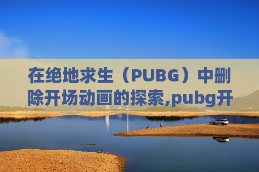 在绝地求生（PUBG）中删除开场动画的探索,pubg开场动画后就黑屏