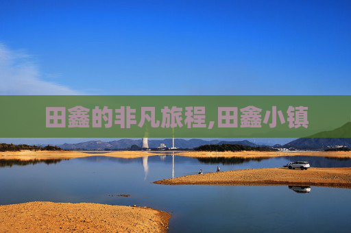 田鑫的非凡旅程,田鑫小镇