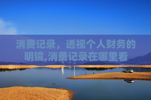 消费记录，透视个人财务的明镜,消费记录在哪里看