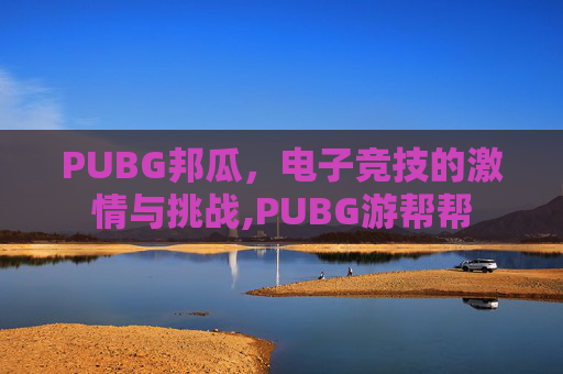 PUBG邦瓜，电子竞技的激情与挑战,PUBG游帮帮