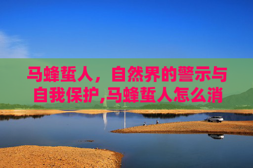 马蜂蜇人，自然界的警示与自我保护,马蜂蜇人怎么消肿