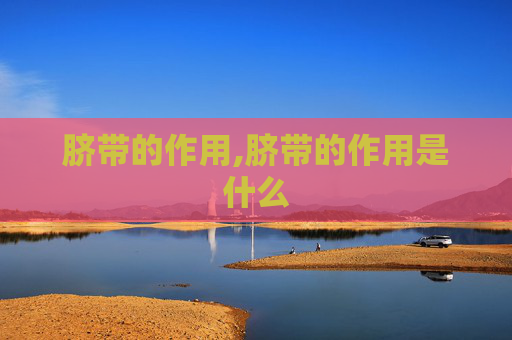 脐带的作用,脐带的作用是什么