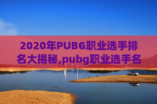 2020年PUBG职业选手排名大揭秘,pubg职业选手名单