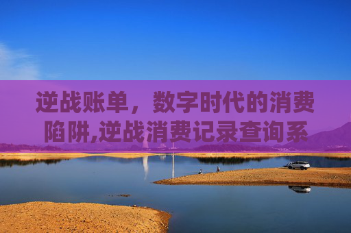 逆战账单，数字时代的消费陷阱,逆战消费记录查询系统