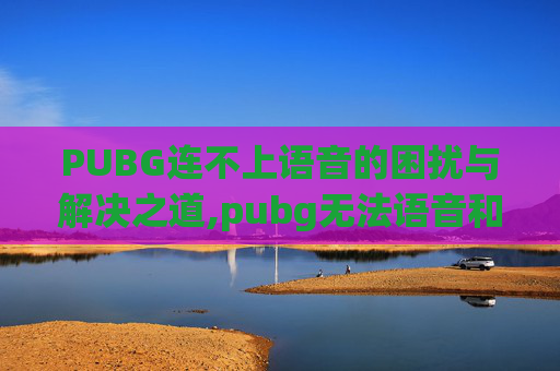 PUBG连不上语音的困扰与解决之道,pubg无法语音和听队友声音