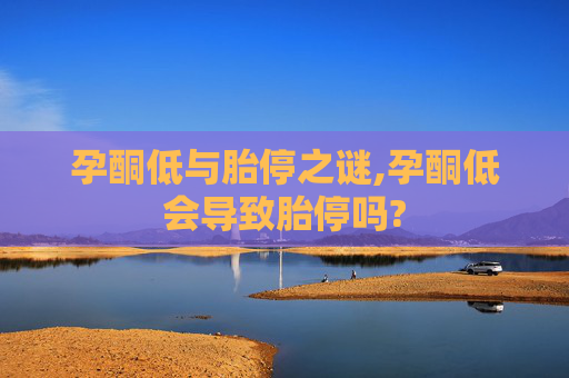 孕酮低与胎停之谜,孕酮低会导致胎停吗? 孕酮低与胎停之谜,孕酮低会导致胎停吗?