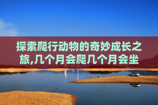 探索爬行动物的奇妙成长之旅,几个月会爬几个月会坐 探索爬行动物的奇妙成长之旅,几个月会爬几个月会坐