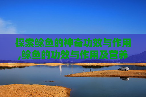探索鲶鱼的神奇功效与作用,鲶鱼的功效与作用及营养价值 探索鲶鱼的神奇功效与作用,鲶鱼的功效与作用及营养价值