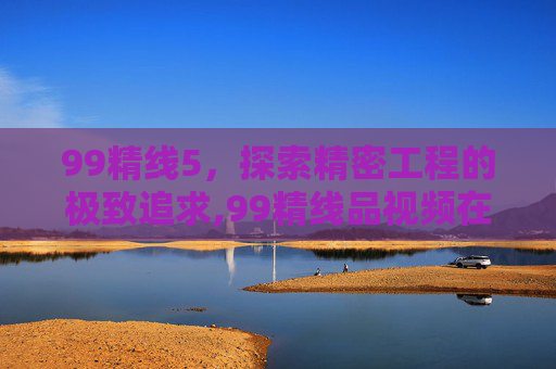 99精线5,探索精密工程的极致追求,99精线品视频在线观看免费观看 99精线5,探索精密工程的极致追求,99精线品视频在线观看免费观看