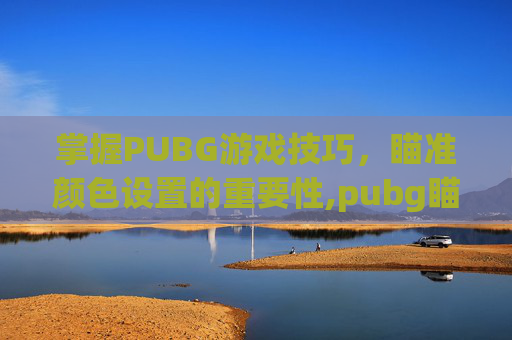 掌握PUBG游戏技巧，瞄准颜色设置的重要性,pubg瞄准和瞄准视角怎么设置