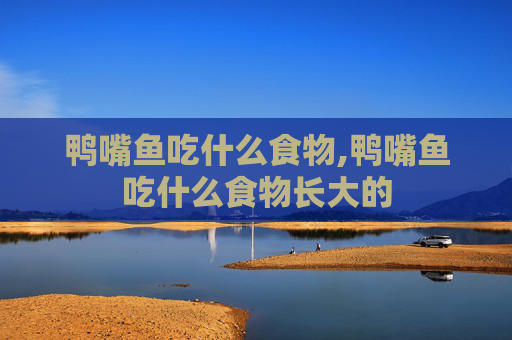 鸭嘴鱼吃什么食物,鸭嘴鱼吃什么食物长大的