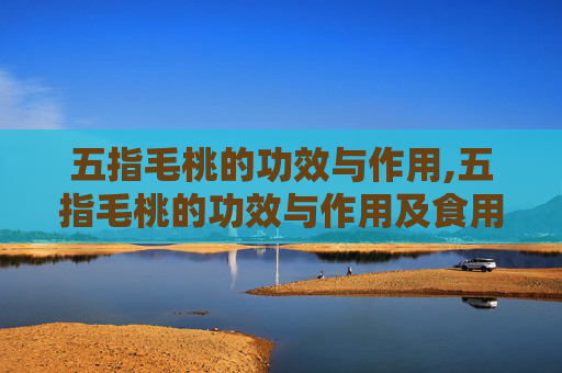 五指毛桃的功效与作用,五指毛桃的功效与作用及食用方法