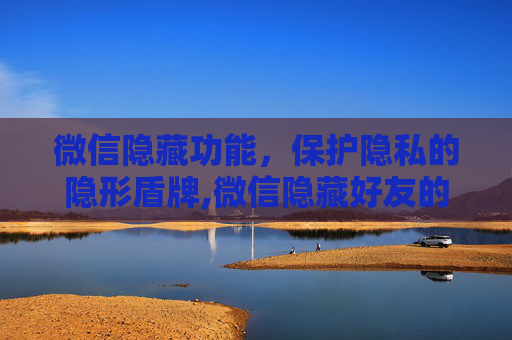 微信隐藏功能，保护隐私的隐形盾牌,微信隐藏好友的方法