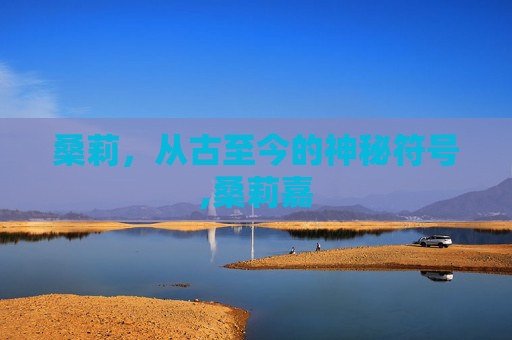 桑莉，从古至今的神秘符号,桑莉嘉