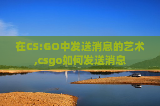 在CS:GO中发送消息的艺术,csgo如何发送消息