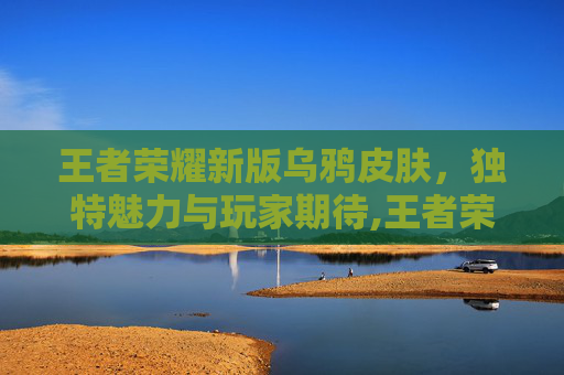 王者荣耀新版乌鸦皮肤，独特魅力与玩家期待,王者荣耀新版乌鸦皮肤多少钱