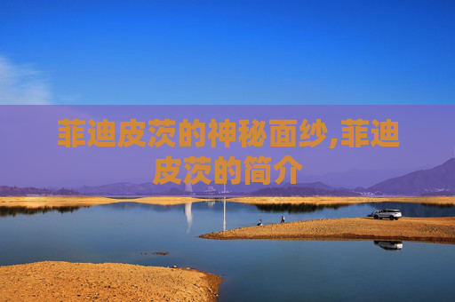 菲迪皮茨的神秘面纱,菲迪皮茨的简介