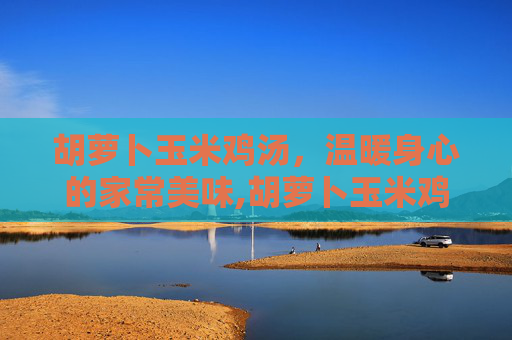 胡萝卜玉米鸡汤，温暖身心的家常美味,胡萝卜玉米鸡汤图片
