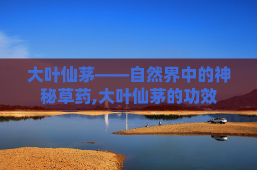 大叶仙茅——自然界中的神秘草药,大叶仙茅的功效