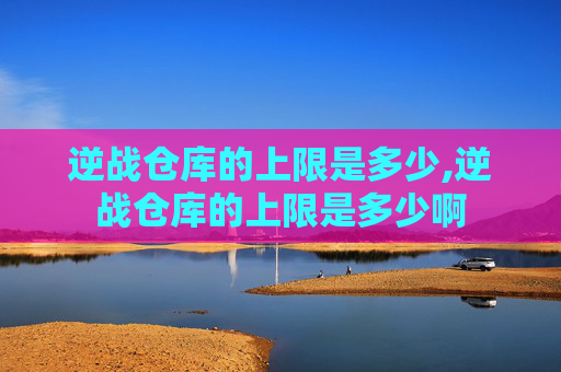 逆战仓库的上限是多少,逆战仓库的上限是多少啊