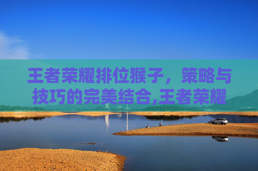 王者荣耀排位猴子,策略与技巧的完美结合,王者荣耀排位猴子厉害吗 王者荣耀排位猴子,策略与技巧的完美结合,王者荣耀排位猴子厉害吗