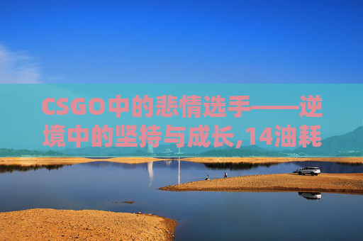 CSGO中的悲情选手——逆境中的坚持与成长,14油耗投多少钱一公里 CSGO中的悲情选手——逆境中的坚持与成长,14油耗投多少钱一公里
