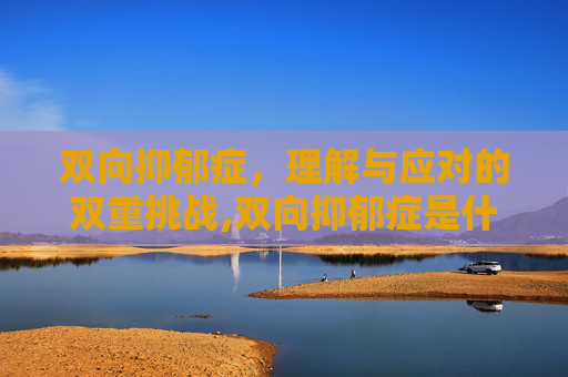 双向抑郁症,理解与应对的双重挑战,双向抑郁症是什么 双向抑郁症,理解与应对的双重挑战,双向抑郁症是什么