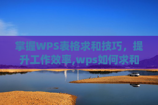 掌握WPS表格求和技巧，提升工作效率,wps如何求和计算