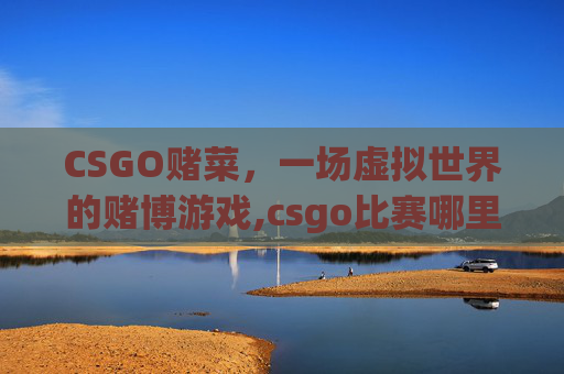 CSGO赌菜，一场虚拟世界的赌博游戏,csgo比赛哪里赌