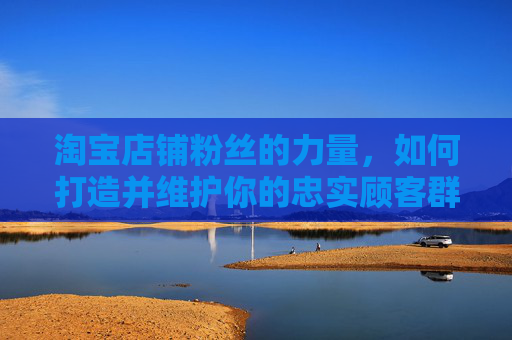 淘宝店铺粉丝的力量，如何打造并维护你的忠实顾客群体,淘宝店铺粉丝排行榜