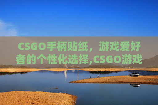 CSGO手柄贴纸，游戏爱好者的个性化选择,CSGO游戏手柄