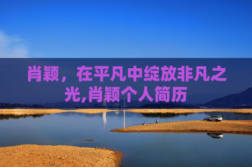 肖颖，在平凡中绽放非凡之光,肖颖个人简历