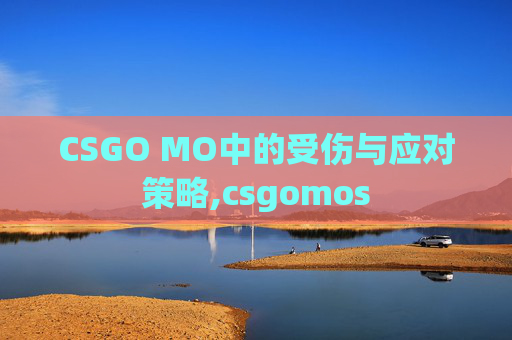 CSGO MO中的受伤与应对策略,csgomos