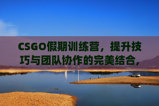 CSGO假期训练营，提升技巧与团队协作的完美结合,csgo训练营最快时间