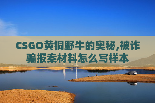 CSGO黄铜野牛的奥秘,被诈骗报案材料怎么写样本