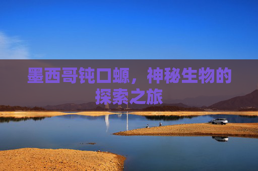 墨西哥钝口螈，神秘生物的探索之旅