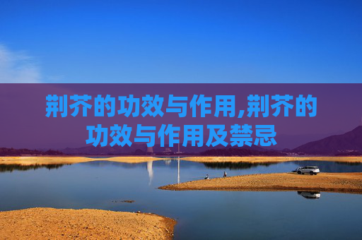 荆芥的功效与作用,荆芥的功效与作用及禁忌