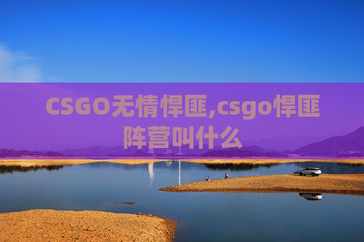 CSGO无情悍匪,csgo悍匪阵营叫什么