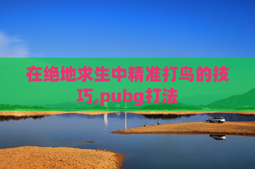 在绝地求生中精准打鸟的技巧,pubg打法