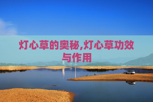 灯心草的奥秘,灯心草功效与作用