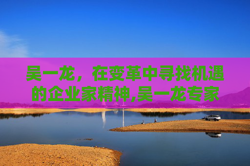 吴一龙，在变革中寻找机遇的企业家精神,吴一龙专家简介