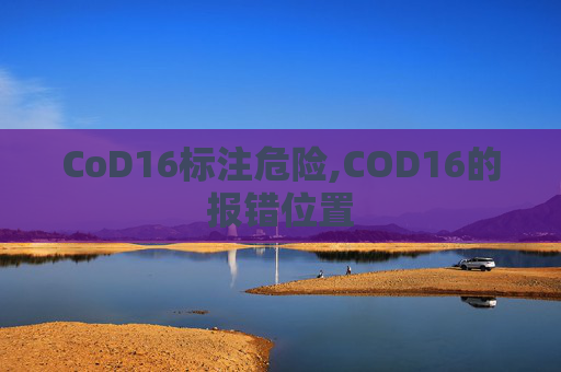 CoD16标注危险,COD16的报错位置