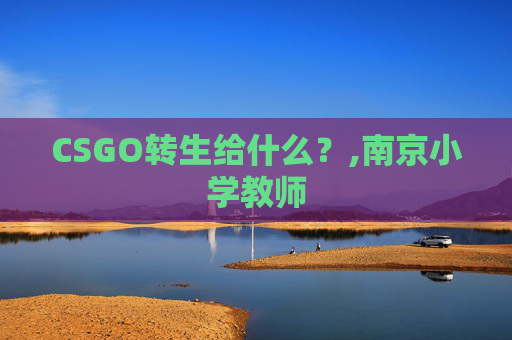 CSGO转生给什么？,南京小学教师