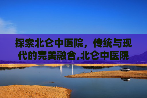 探索北仑中医院，传统与现代的完美融合,北仑中医院是几级医院