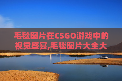毛毯图片在CSGO游戏中的视觉盛宴,毛毯图片大全大图