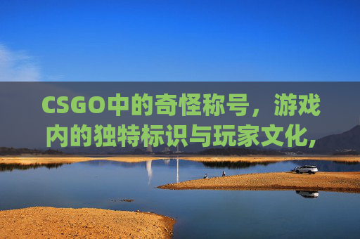 CSGO中的奇怪称号，游戏内的独特标识与玩家文化,csgo称号含义