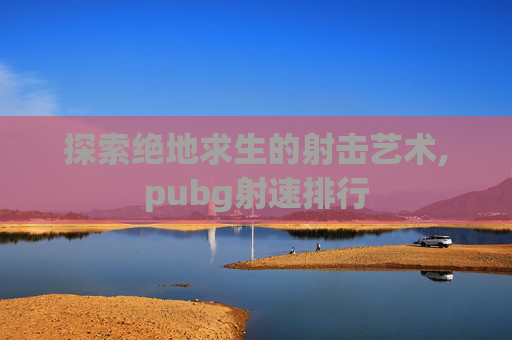 探索绝地求生的射击艺术,pubg射速排行
