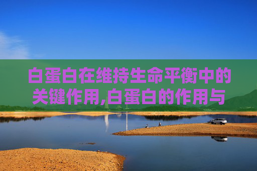 白蛋白在维持生命平衡中的关键作用,白蛋白的作用与危害