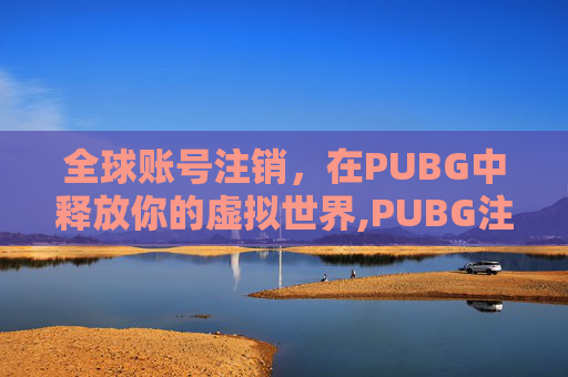 全球账号注销，在PUBG中释放你的虚拟世界,PUBG注销账号入口